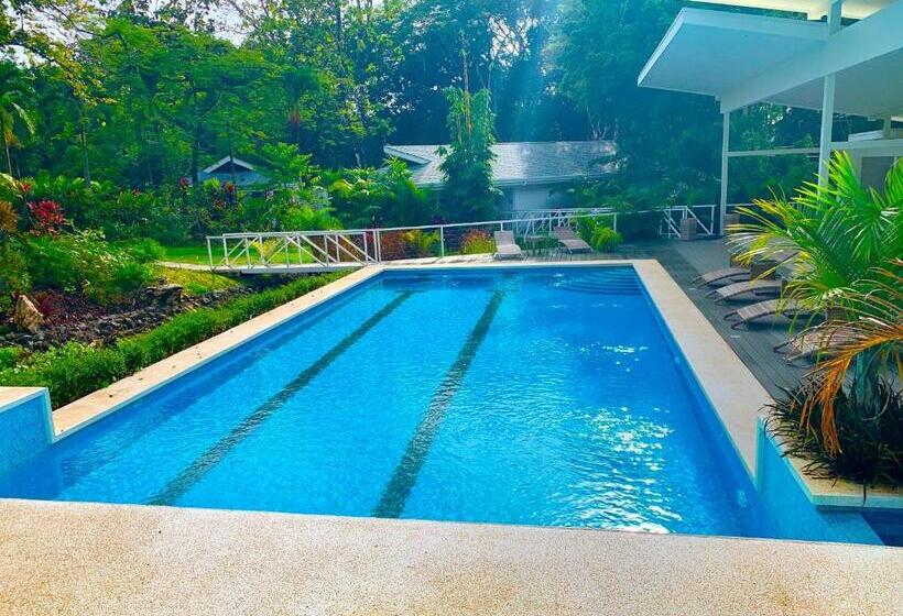 四人豪华间, Aves Hotel Montezuma