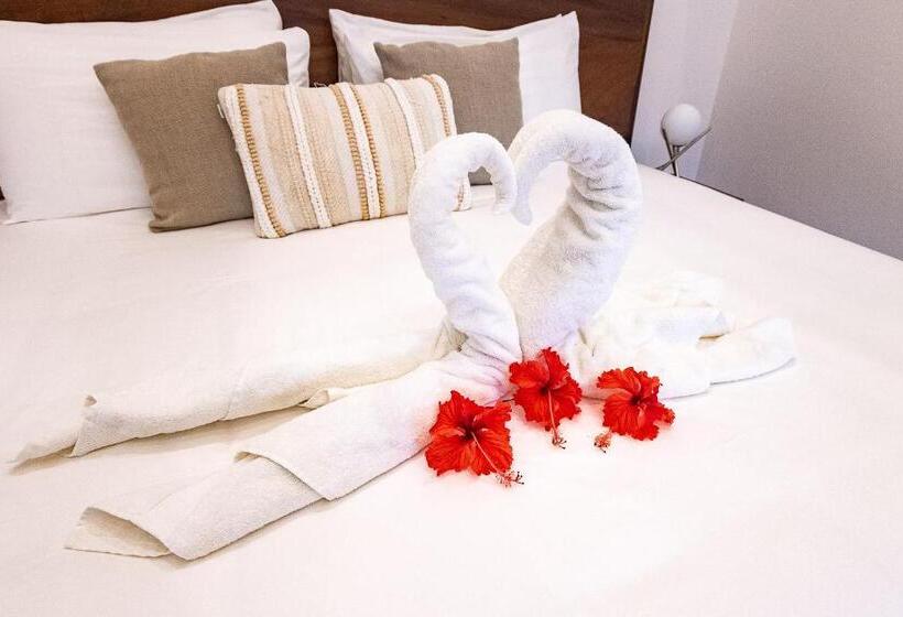 اتاق استاندارد با تخت بزرگ برای معلولان, Aves Hotel Montezuma