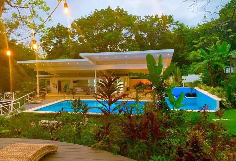 اتاق استاندارد با تخت بزرگ برای معلولان, Aves Hotel Montezuma