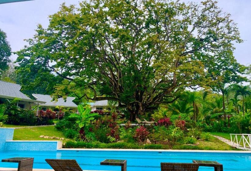 اتاق استاندارد با تخت بزرگ, Aves Hotel Montezuma