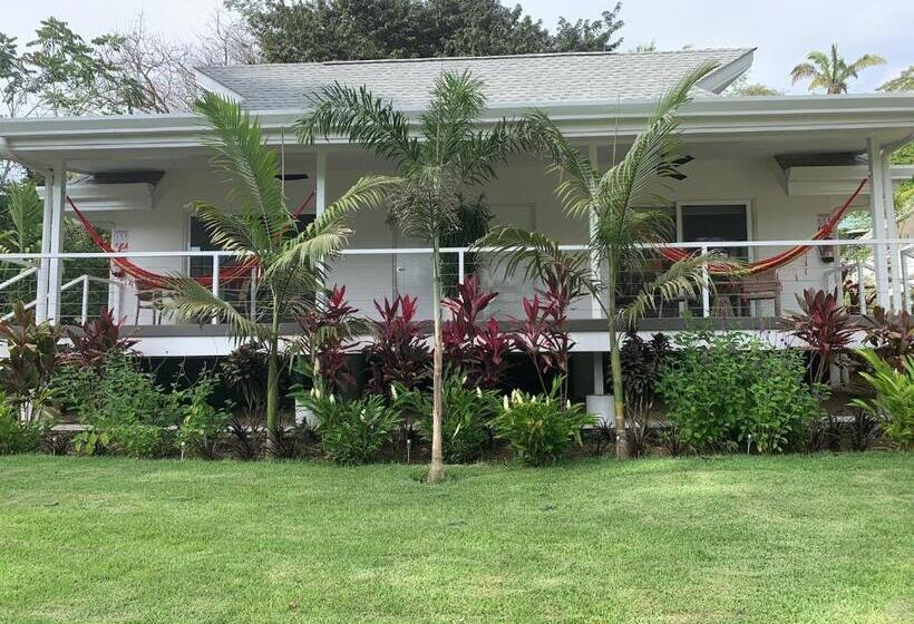 اتاق استاندارد با تخت بزرگ, Aves Hotel Montezuma