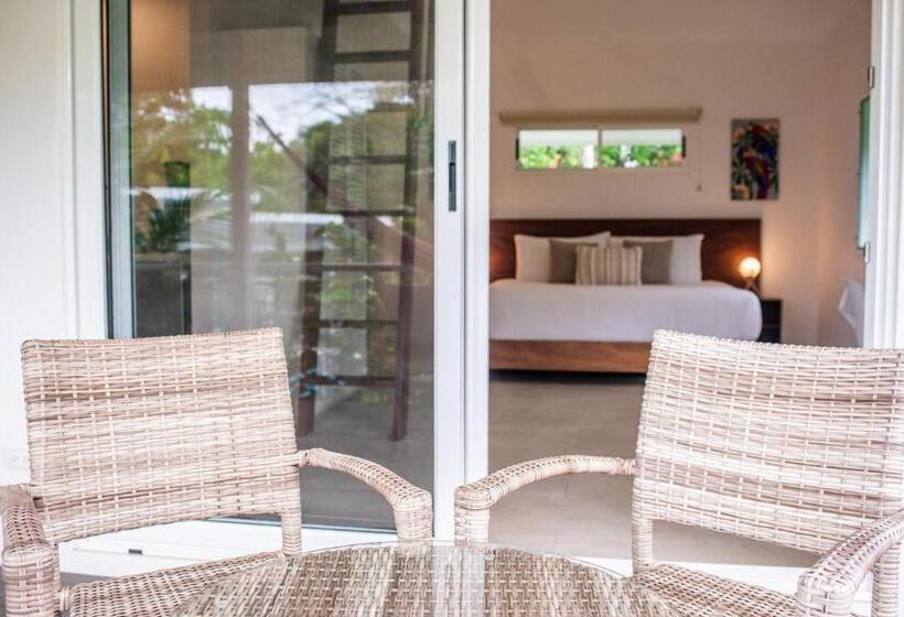 اتاق استاندارد با تخت بزرگ, Aves Hotel Montezuma