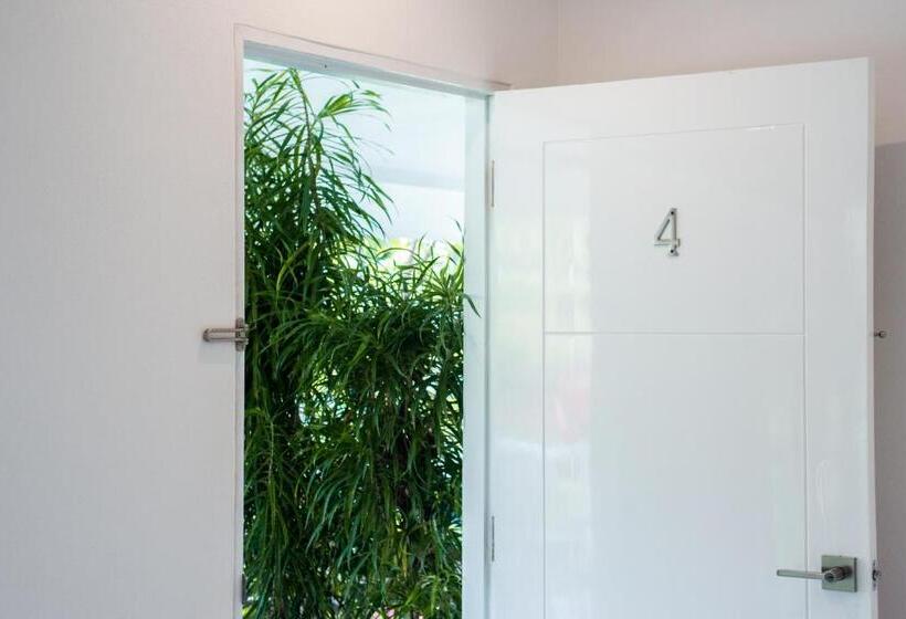 اتاق استاندارد با تخت بزرگ, Aves Hotel Montezuma