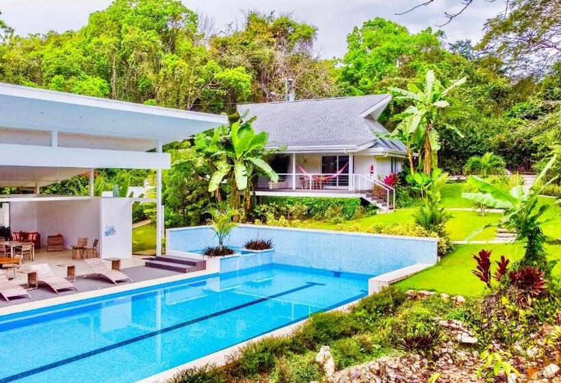 اتاق لوکس چهار تخته, Aves Hotel Montezuma