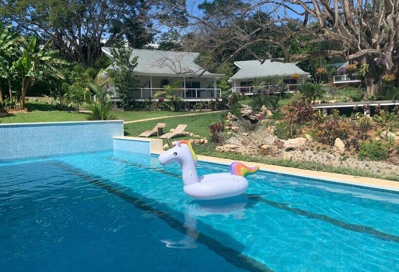 اتاق استاندارد با تخت بزرگ برای معلولان, Aves Hotel Montezuma