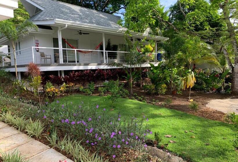 اتاق استاندارد با تخت بزرگ برای معلولان, Aves Hotel Montezuma