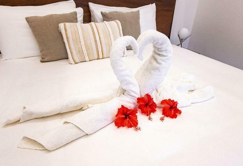 اتاق استاندارد با تخت بزرگ, Aves Hotel Montezuma