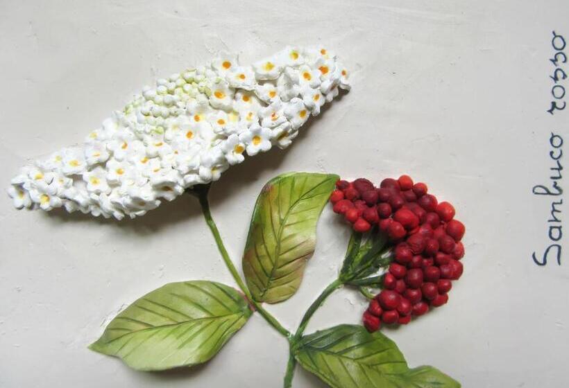 شقة غرفة واحدة, La Corte Room & Relax