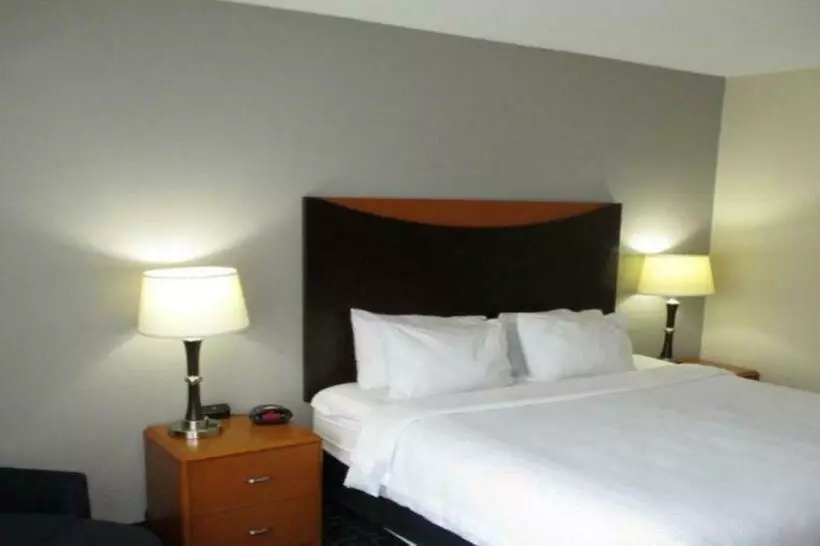 身障者適用キングサイズベッドルーム, Best Western Louisville South   Shepherdsville