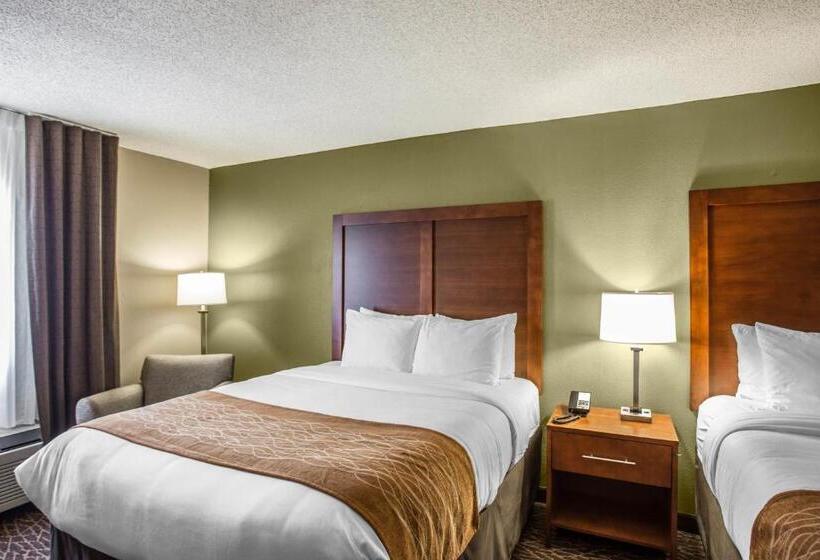 スタンダードルーム, Comfort Inn & Suites Kannapolis Concord