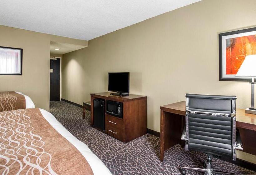 スタンダードルーム, Comfort Inn & Suites Kannapolis Concord