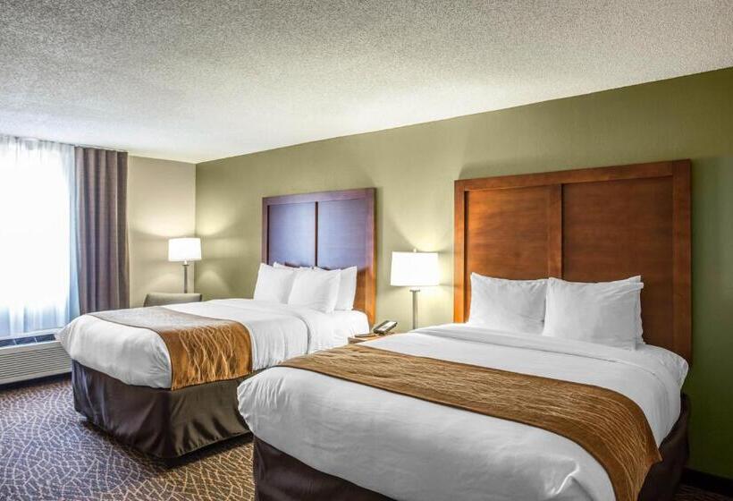 Номер Стандарт, Comfort Inn & Suites Kannapolis   Concord