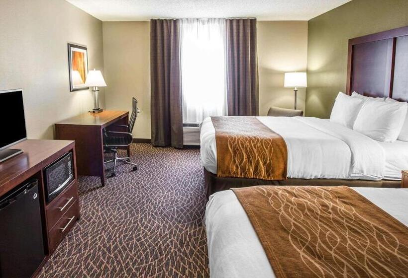 スタンダードルーム, Comfort Inn & Suites Kannapolis Concord