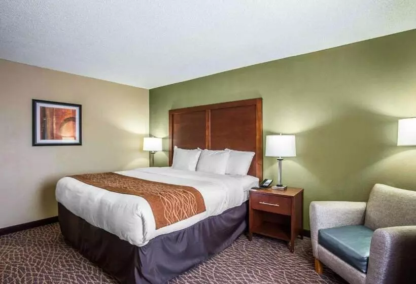 キングサイズベッドのスタンダードルーム, Comfort Inn & Suites Kannapolis   Concord
