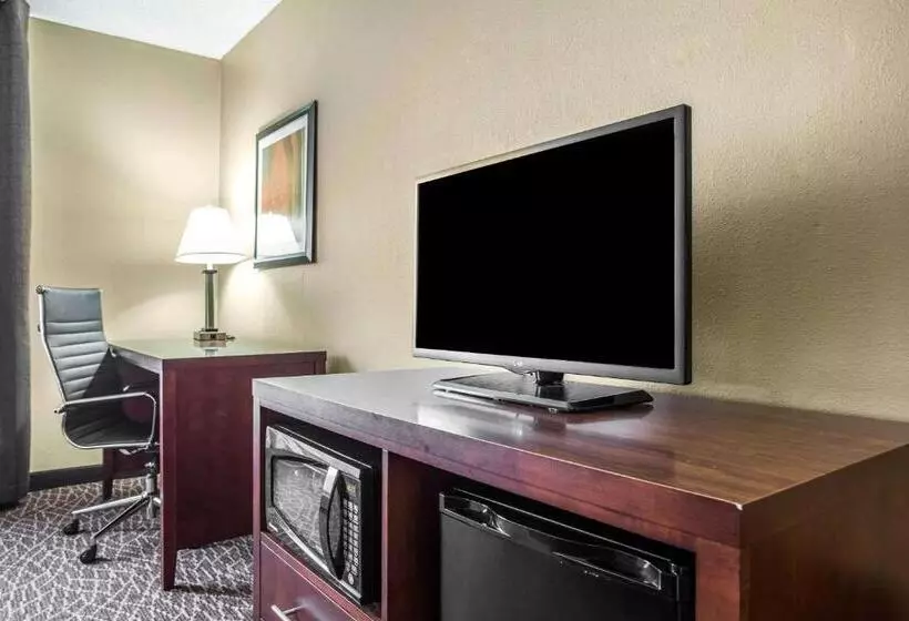 キングサイズベッドのスタンダードルーム, Comfort Inn & Suites Kannapolis   Concord