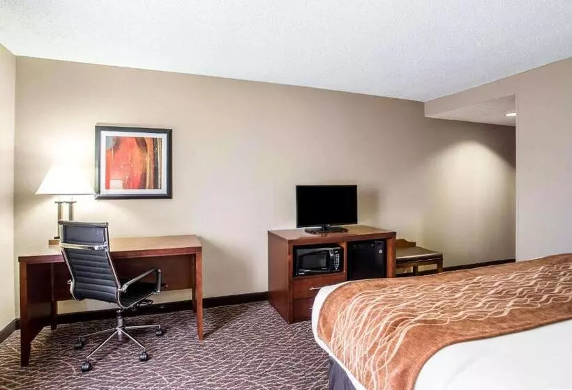 キングサイズベッドのスタンダードルーム, Comfort Inn & Suites Kannapolis   Concord