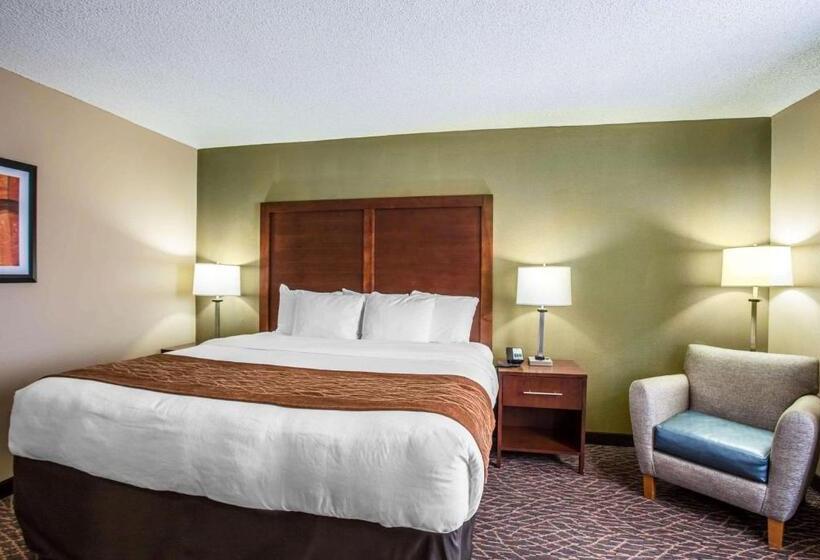 キングサイズベッドのスタンダードルーム, Comfort Inn & Suites Kannapolis Concord