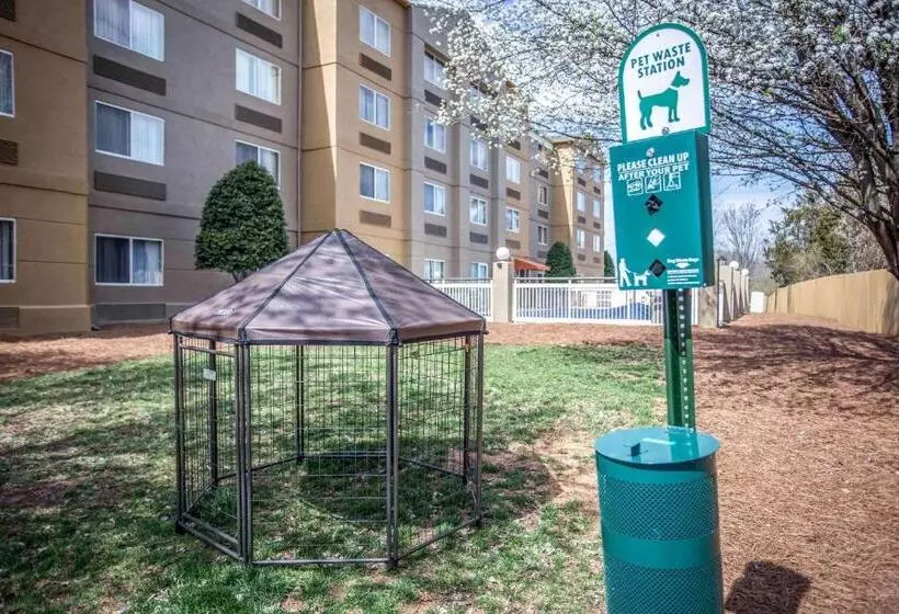 キングサイズベッドのスイートルーム, Comfort Inn & Suites Kannapolis   Concord
