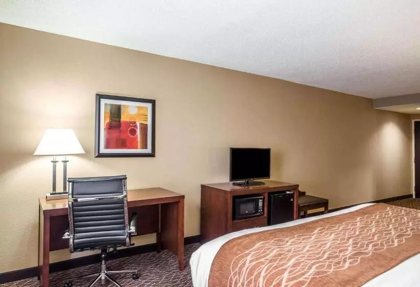 キングサイズベッドのスイートルーム, Comfort Inn & Suites Kannapolis   Concord