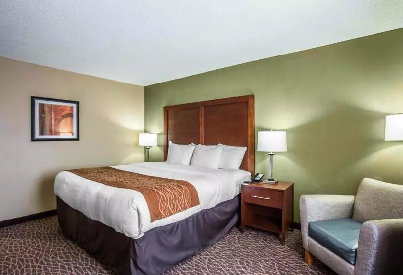 身障者適用キングサイズベッドルーム, Comfort Inn & Suites Kannapolis   Concord