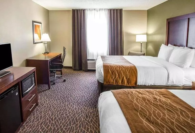 身障者適用スタンダードルーム, Comfort Inn & Suites Kannapolis   Concord