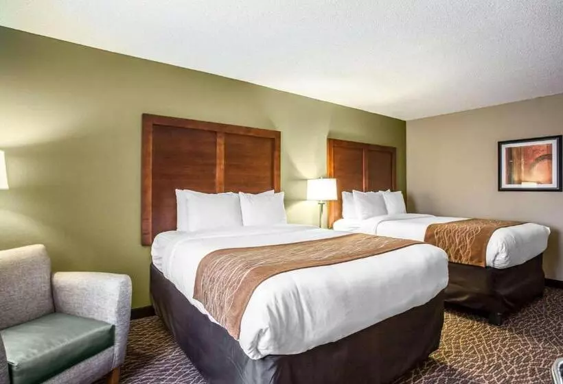 身障者適用スタンダードルーム, Comfort Inn & Suites Kannapolis   Concord