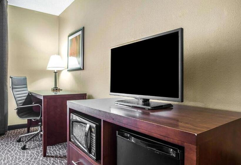 Номер Стандарт, Comfort Inn & Suites Kannapolis   Concord