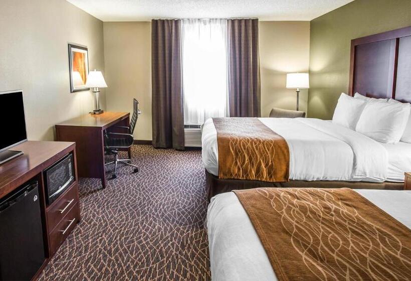 スタンダードルーム, Comfort Inn & Suites Kannapolis Concord