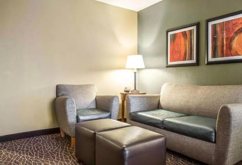 身障者適用キングサイズベッドルーム, Comfort Inn & Suites Kannapolis   Concord