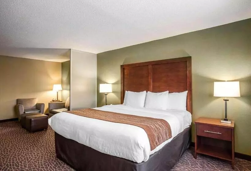 身障者適用キングサイズベッドルーム, Comfort Inn & Suites Kannapolis   Concord