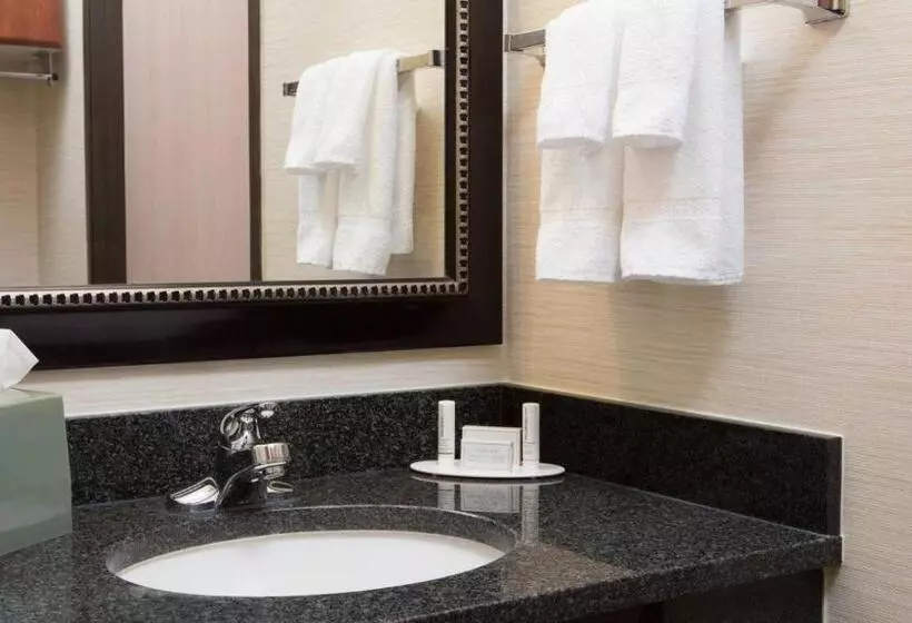キングサイズベッドのスタンダードルーム, Comfort Inn & Suites Olathe   Kansas City