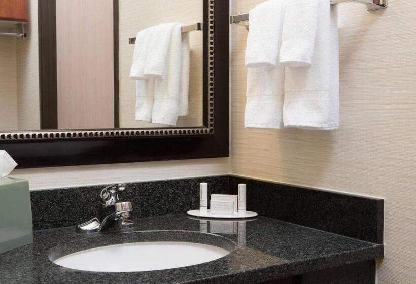 Номер Стандарт Кровать Кинг Адаптированный для Инвалидов, Comfort Inn & Suites Olathe   Kansas City