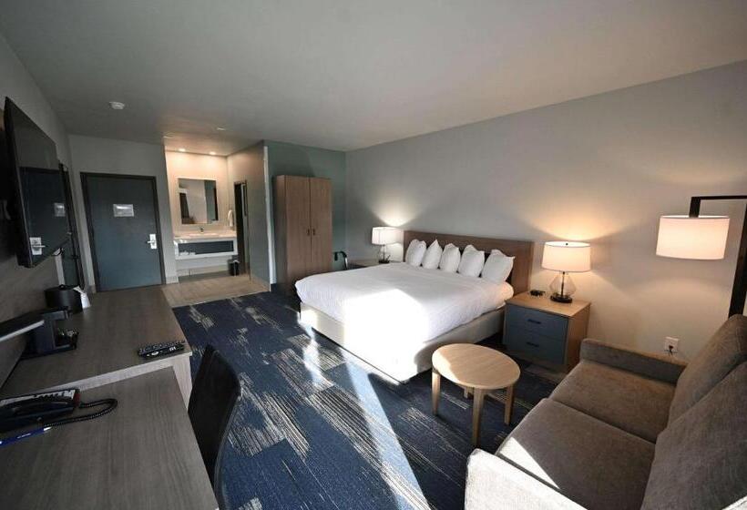 Номер Стандарт Кровать Квин Адаптированный для Инвалидов, Edgewater Inn And Suites