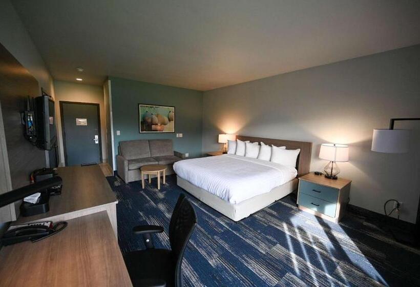 اتاق استاندارد با تخت دو نفره بزرگ برای معلولان, Edgewater Inn And Suites