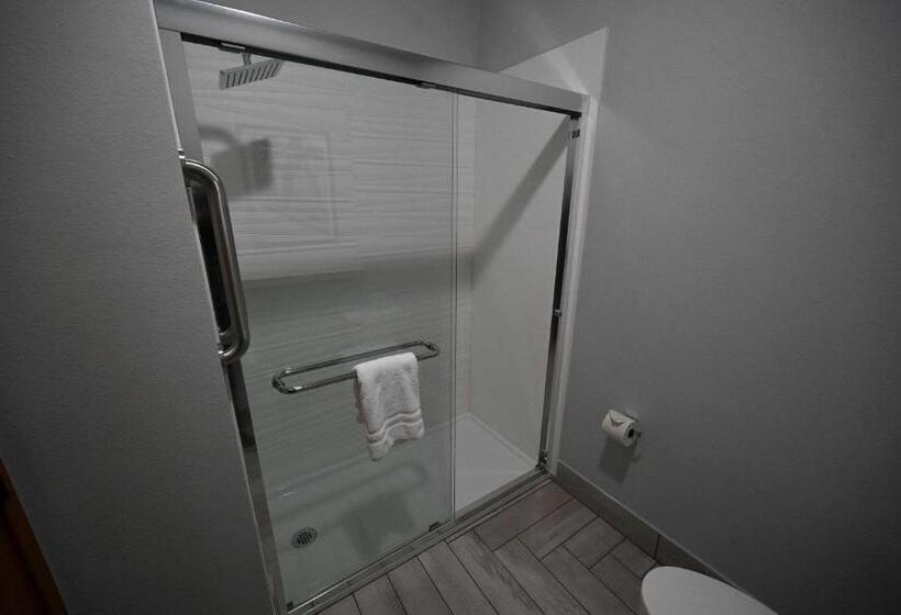 اتاق استاندارد با تخت بزرگ, Edgewater Inn And Suites