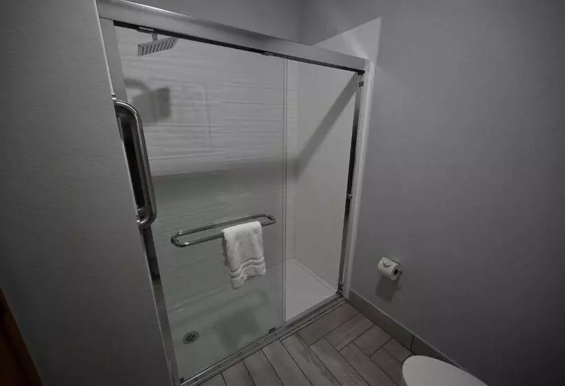 اتاق استاندارد با تخت بزرگ, Edgewater Inn And Suites