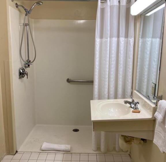 غرفة قياسية سرير ملكى لذوى الإحتياجات الخاصة, Suburban Studios Auburn Hills   Detroit