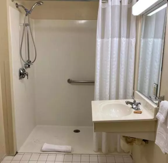 身障者適用クイーンサイズベッドルーム, Suburban Studios Auburn Hills   Detroit