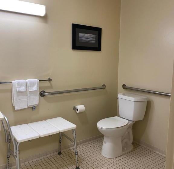 غرفة قياسية سرير ملكى لذوى الإحتياجات الخاصة, Suburban Studios Auburn Hills   Detroit