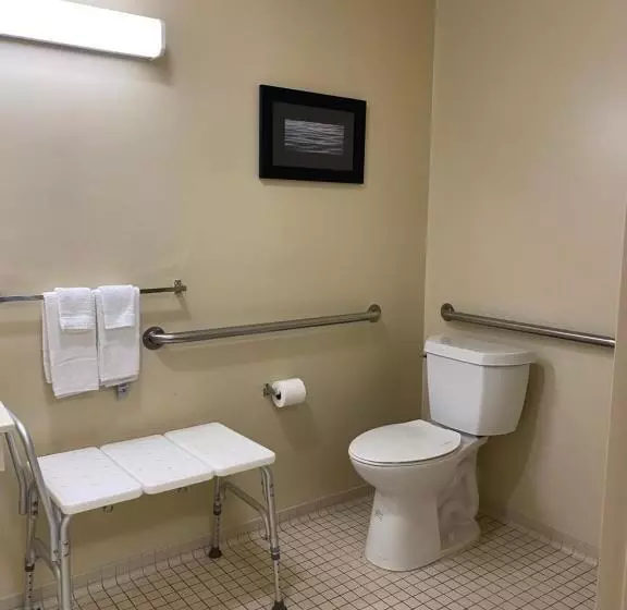 身障者適用クイーンサイズベッドルーム, Suburban Studios Auburn Hills   Detroit
