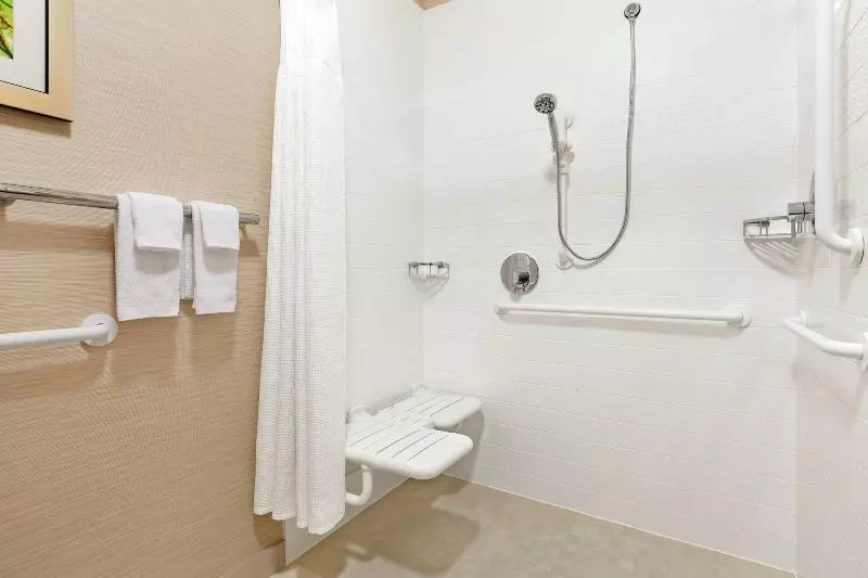 اتاق استاندارد با تخت بزرگ, Fairfield Inn Roseville