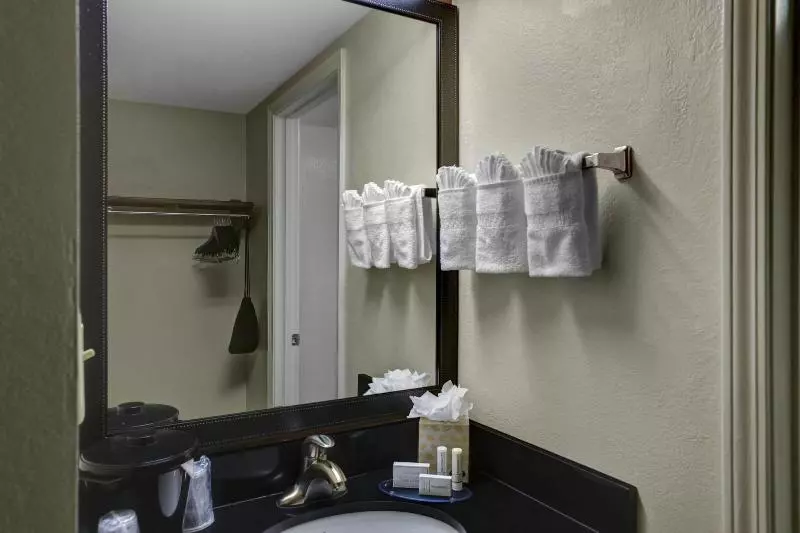 キングサイズベッドのスイートルーム, Fairfield Inn & Suites By Marriott Atlanta Alpharetta