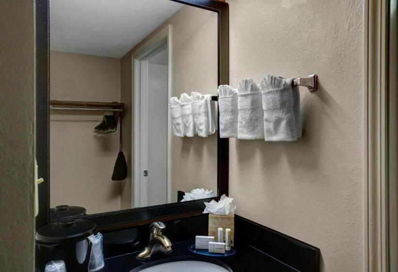 キングサイズベッドのエクゼクティブルーム, Fairfield Inn & Suites By Marriott Atlanta Alpharetta