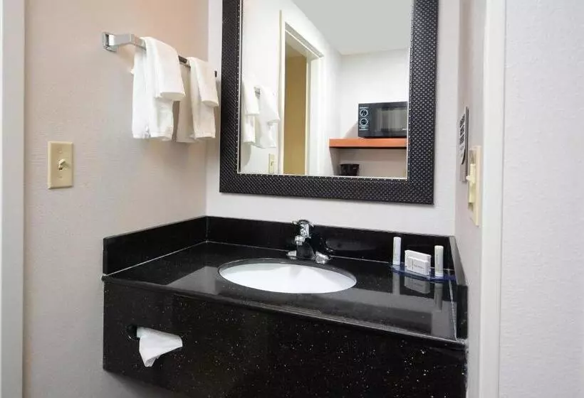 استودیو استاندارد با تخت کینگ, Fairfield Inn & Suites By Marriott Charlottesville North