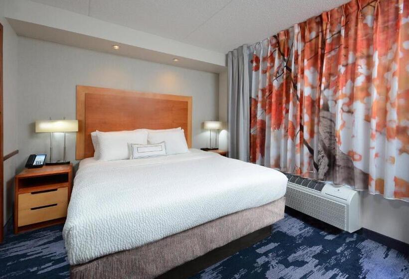 Студио Стандарт Кровать Кинг, Fairfield Inn & Suites By Marriott Charlottesville North