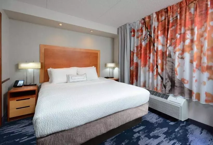 استودیو استاندارد با تخت کینگ, Fairfield Inn & Suites By Marriott Charlottesville North