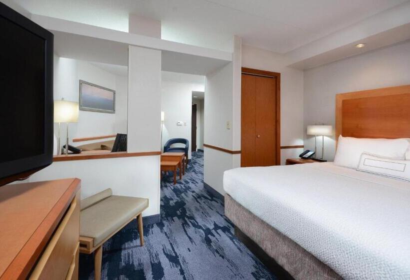 带大床的标准工作室, Fairfield Inn & Suites By Marriott Charlottesville North
