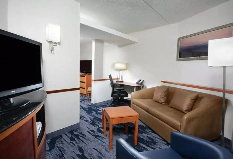 استودیو استاندارد با تخت کینگ, Fairfield Inn & Suites By Marriott Charlottesville North