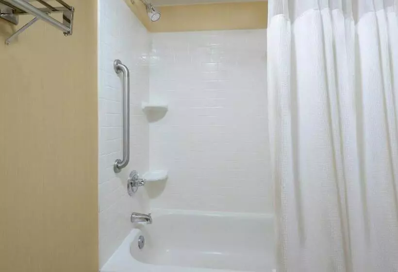 استودیو استاندارد با تخت کینگ, Fairfield Inn & Suites By Marriott Charlottesville North