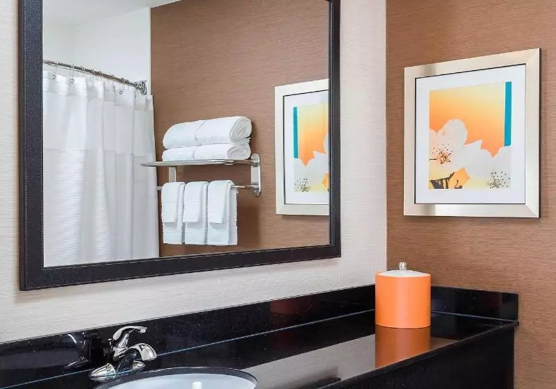 اتاق استاندارد با تخت بزرگ, Fairfield Inn & Suites Grand Rapids